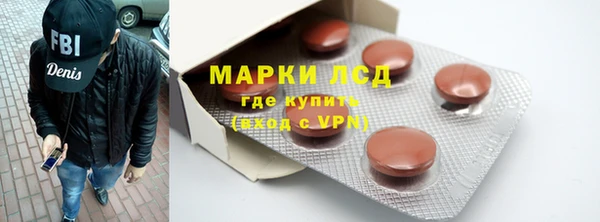 стаф Алзамай