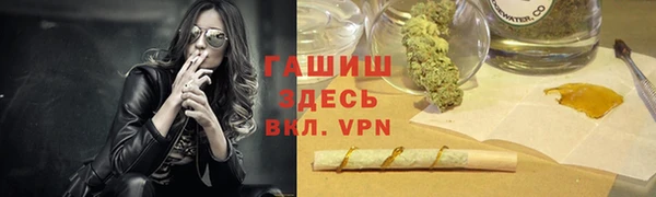стаф Алзамай