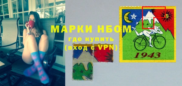 стаф Алзамай