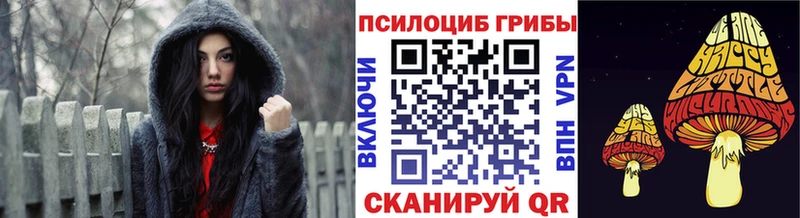 Купить где  Сосновоборск  Псилоцибиновые грибы Psilocybe 